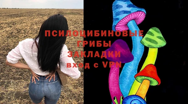 бутират Арсеньев