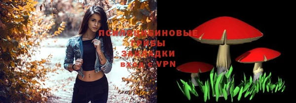 прущая мука Армянск