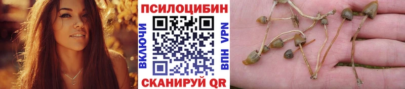 Псилоцибиновые грибы прущие грибы  купить наркоту  Солнечногорск 